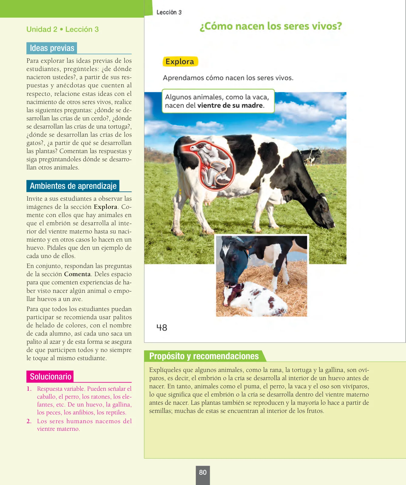 Miniatura página 81 de Ciencias Naturales – Primero Básico | Texto del Estudiante (MINEDUC) – Descargar PDF · 2024