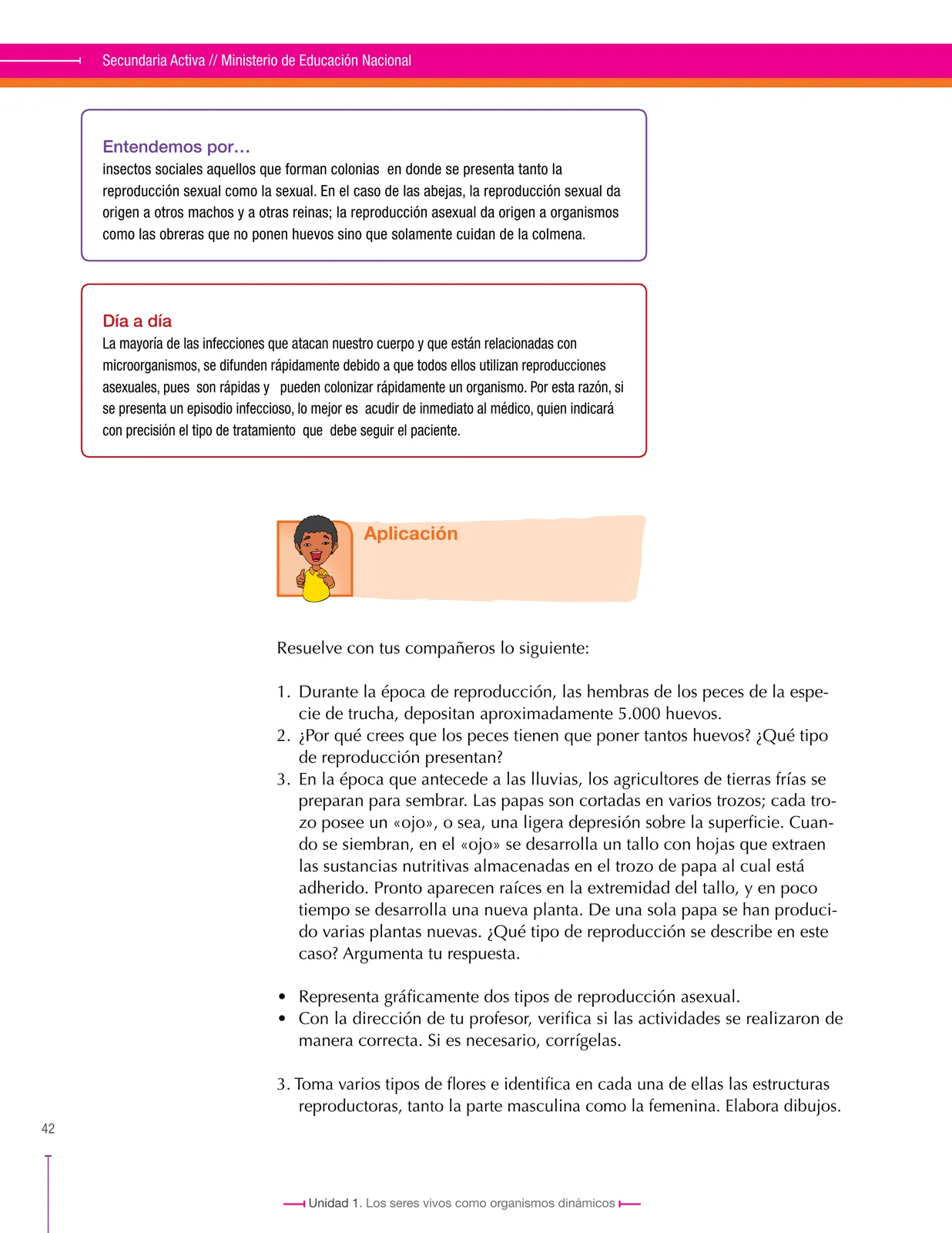 Página 42 de Ciencias Naturales 8° · Secundaria Activa