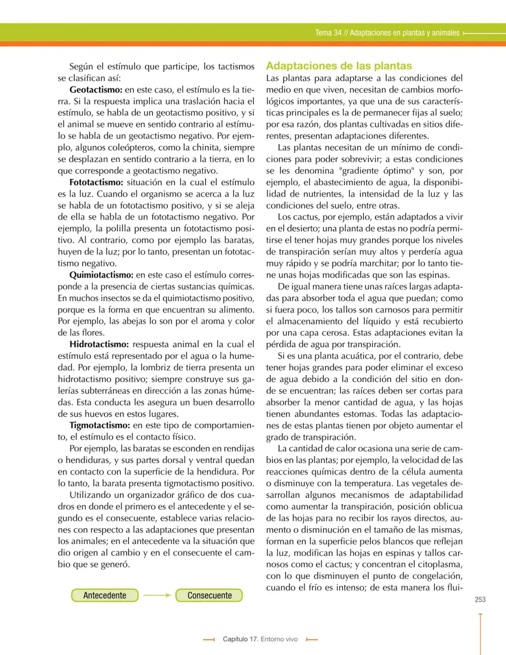 Página 253
