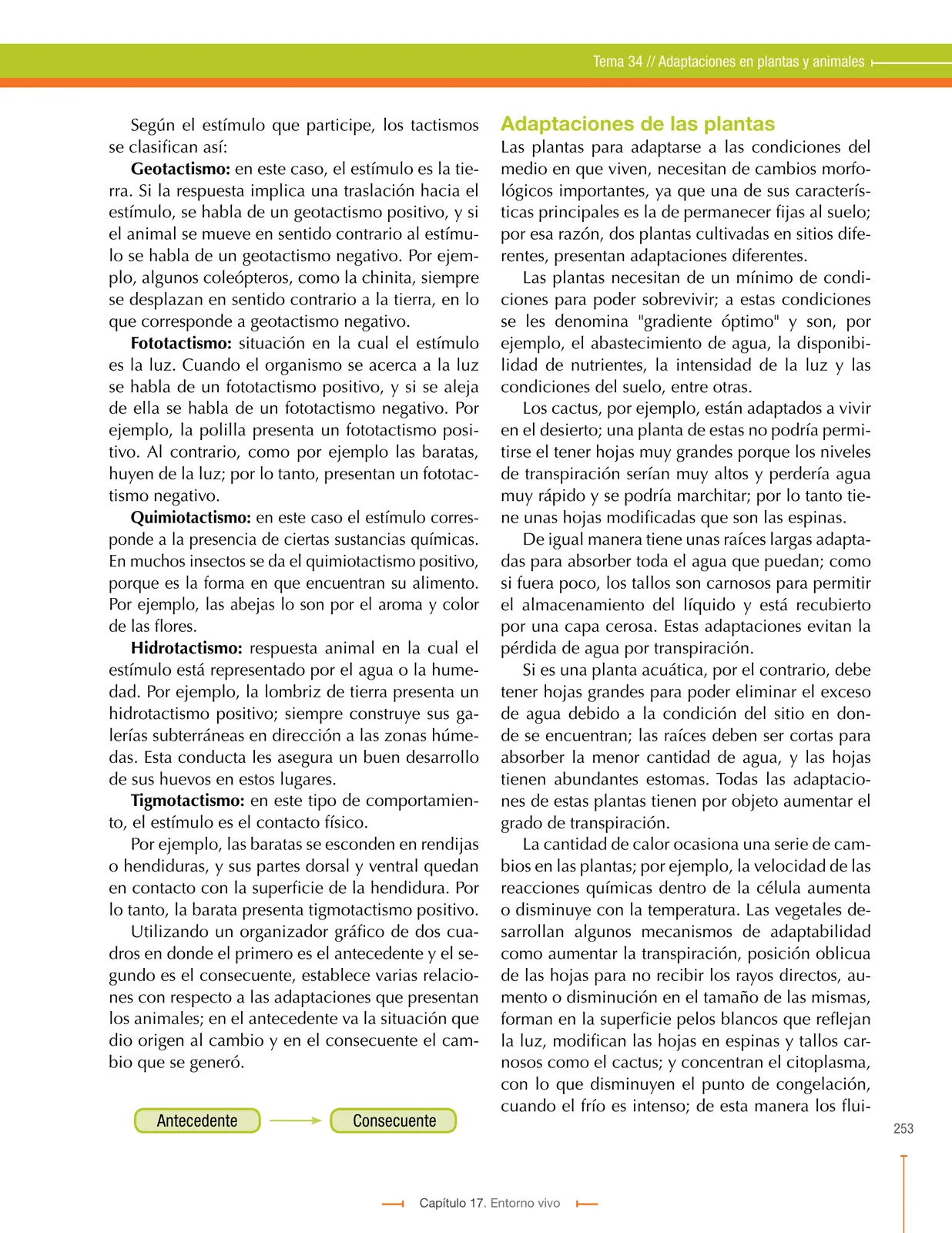 Miniatura página 253 de Ciencias Naturales 9° · Secundaria Activa