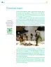 Miniatura página 193 de Colección Ximhai. Nuestro libro de Proyectos.  Tomo II.   Libro de Educación Telesecundaria Grado 1°  Ciclo Escolar 2025 - 2026