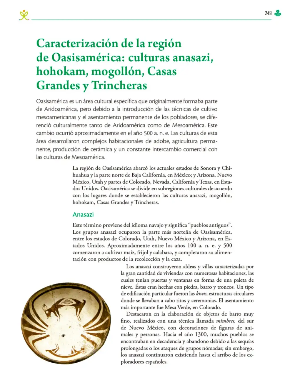 Página 250
