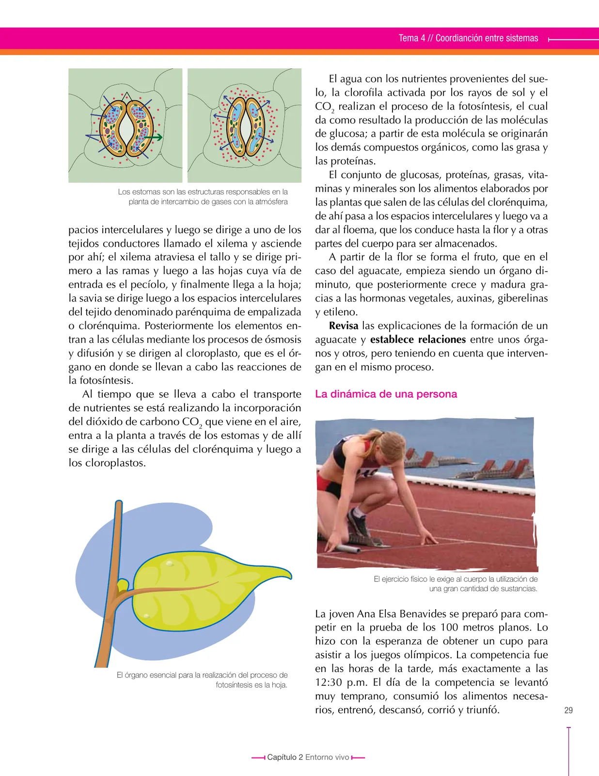 Página 29 de Ciencias Naturales 8° · Secundaria Activa