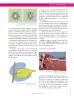 Miniatura página 29 de Ciencias Naturales 8° · Secundaria Activa
