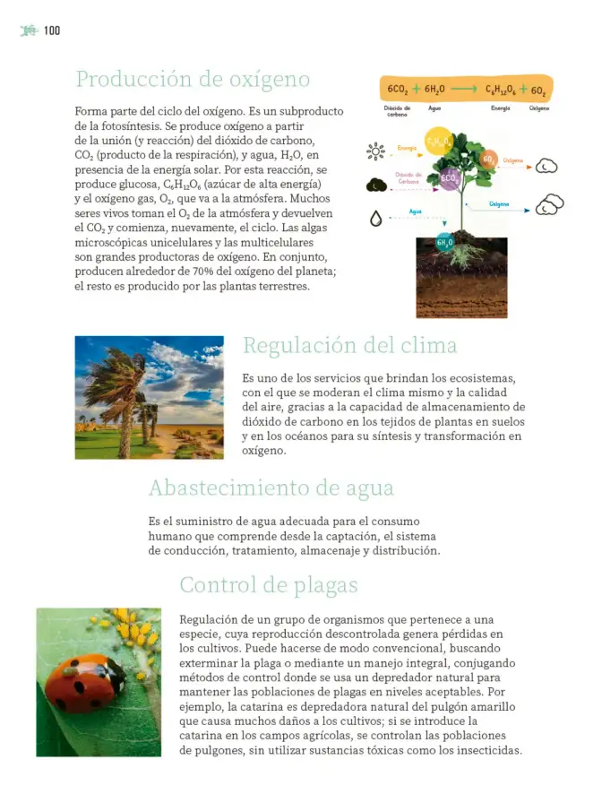 Página 101 de Nuestros saberes: Libro para alumnos, maestros y familia. Libro de Educación Primaria Grado 5° Ciclo Escolar 2025 - 2026