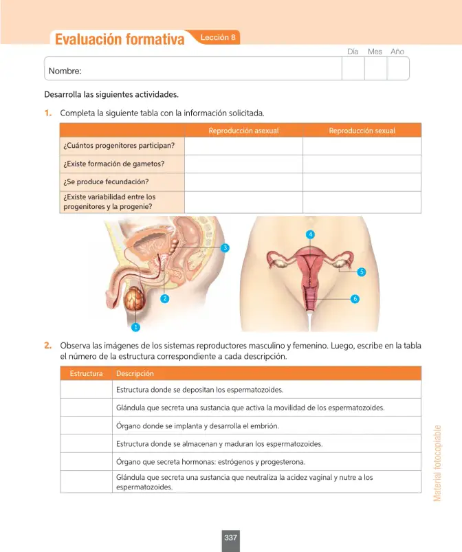 Página 162 de Ciencias Naturales – Séptimo Básico | Texto del Estudiante MINEDUC – Descargar PDF · 2024