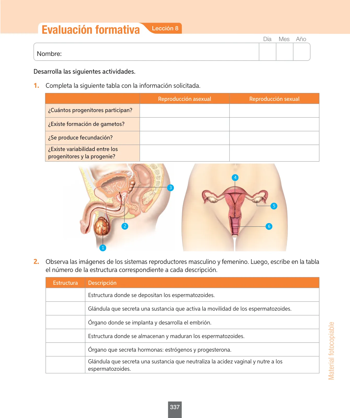 Miniatura página 162 de Ciencias Naturales – Séptimo Básico | Texto del Estudiante MINEDUC – Descargar PDF · 2024