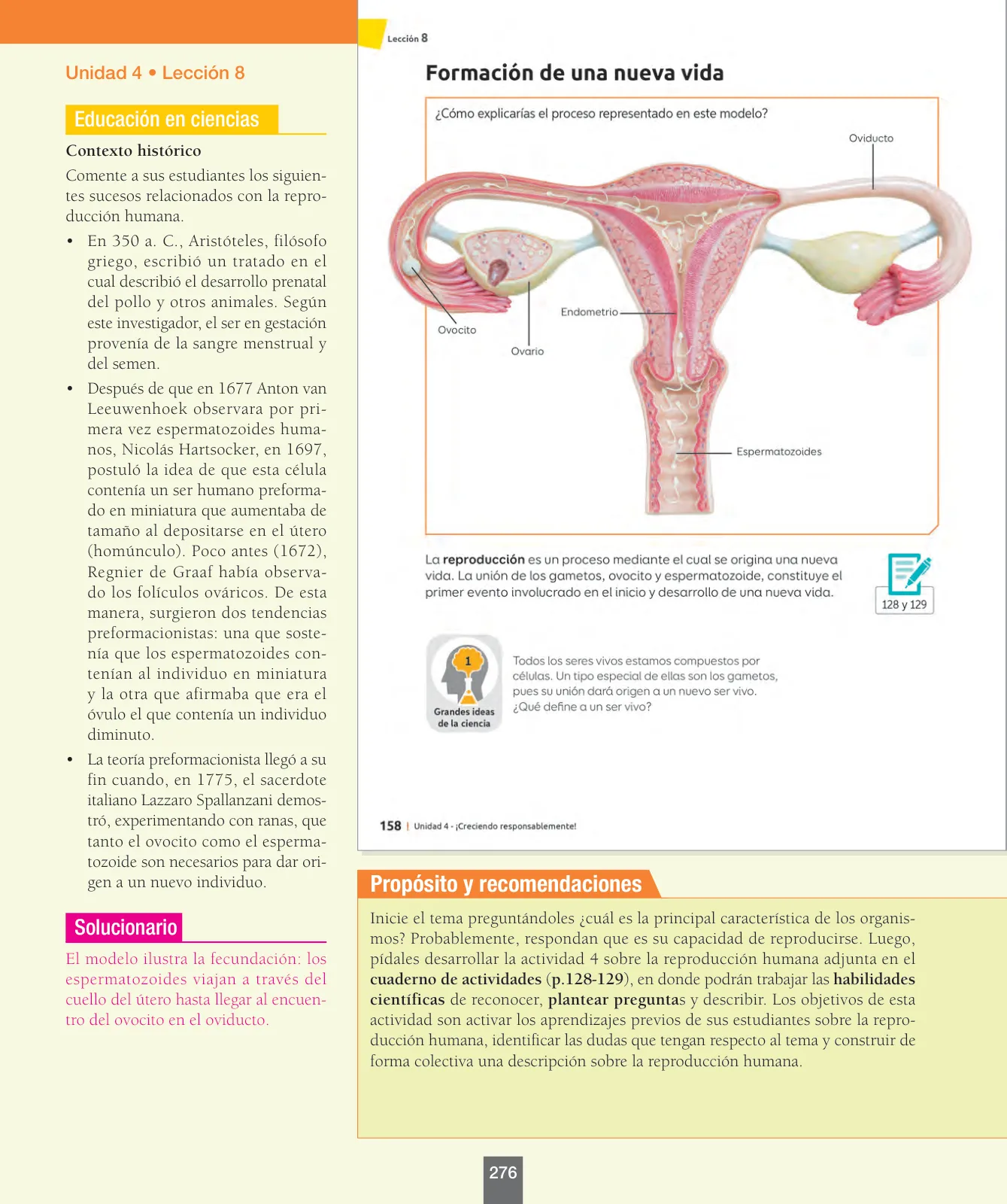 Miniatura página 101 de Ciencias Naturales – Séptimo Básico | Texto del Estudiante MINEDUC – Descargar PDF · 2024