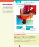 Miniatura página 47 de Ciencias Naturales – Séptimo Básico | Texto del Estudiante MINEDUC – Descargar PDF · 2024