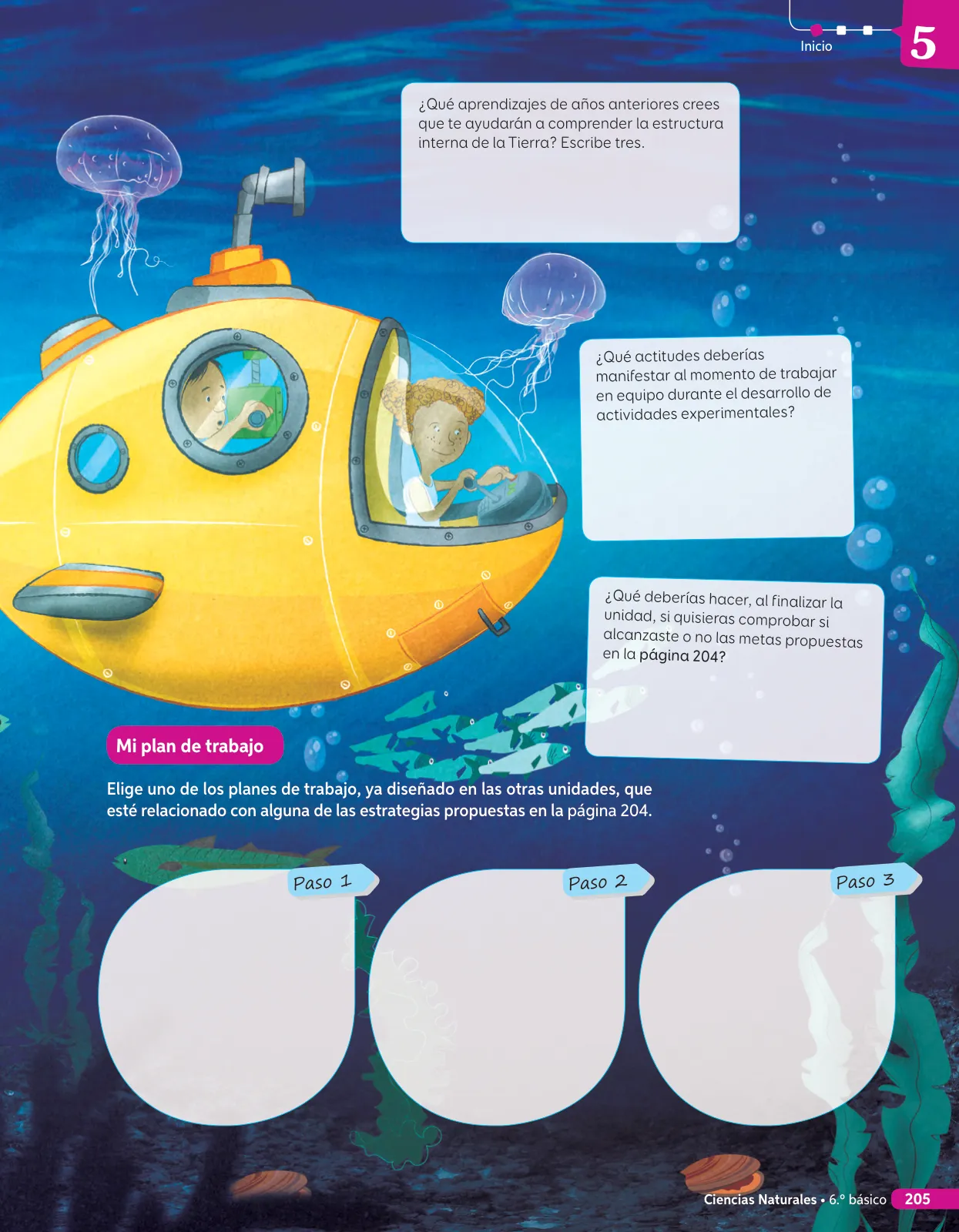 Miniatura página 156 de Libro de Ciencias Naturales – Quinto Básico | Texto del Estudiante MINEDUC – Descargar PDF · 2024