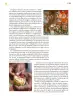 Miniatura página 50 de Colección Sk´asolil. Ética, naturaleza y sociedades.   Libro de Educación Secundaria Grado 2°  Ciclo Escolar 2025 - 2026