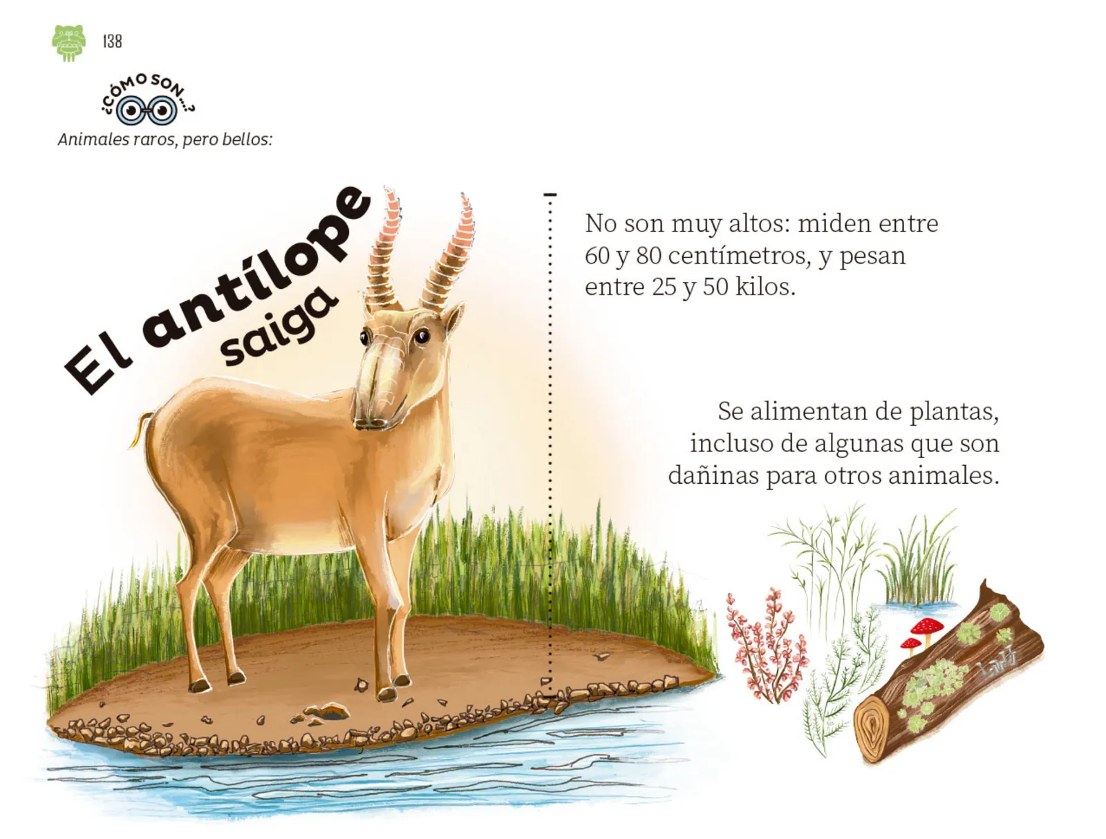 Miniatura página 139 de Múltiples lenguajes.   Libro de Educación Preescolar Grado 2°  Ciclo Escolar 2025 - 2026