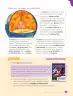 Miniatura página 13 de Ciencias Naturales – Cuarto Básico | Texto del Estudiante MINEDUC – Descargar PDF · 2024