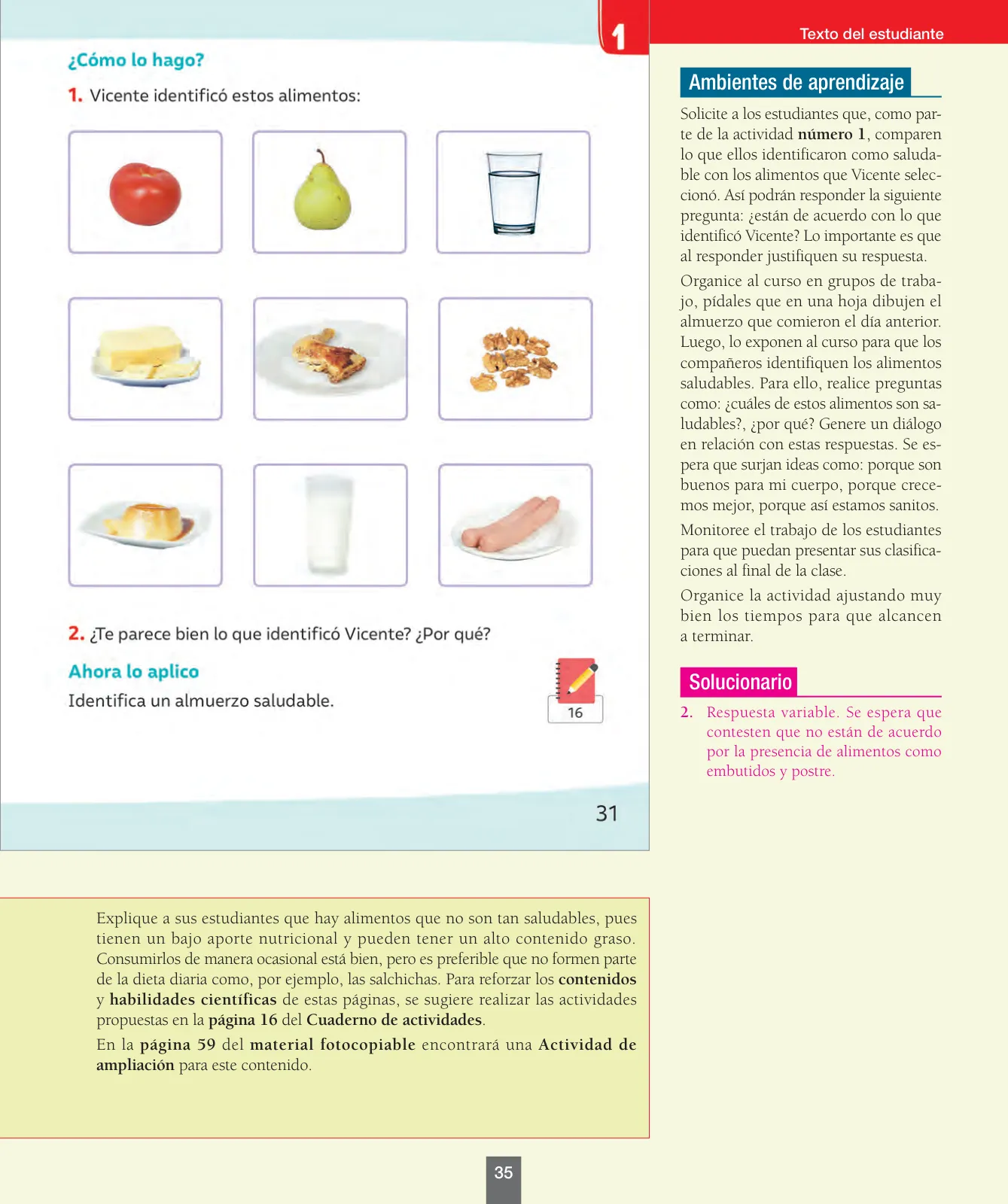 Página 36 de Ciencias Naturales – Primero Básico | Texto del Estudiante (MINEDUC) – Descargar PDF · 2024