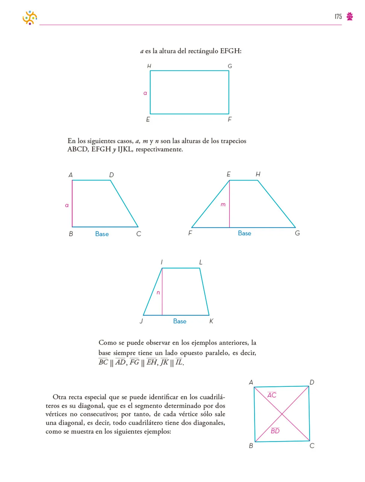 Página 176 de Colección Ximhai. Saberes y pensamiento científico. Libro de Educación Secundaria Grado 1° Ciclo Escolar 2025 - 2026