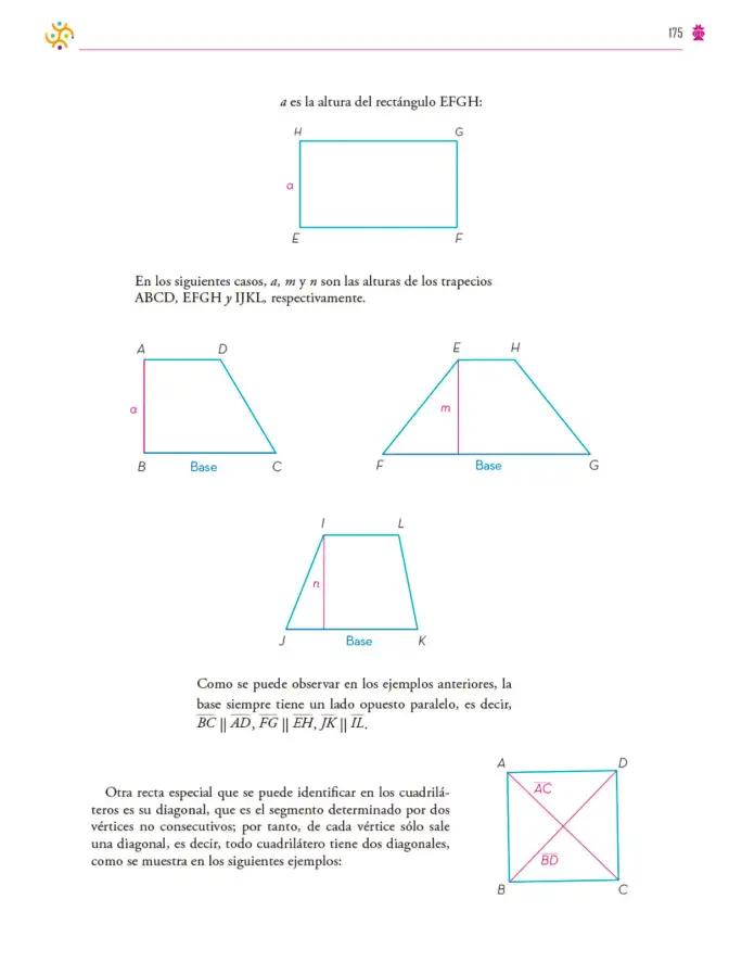 Página 176 de Colección Ximhai. Saberes y pensamiento científico. Libro de Educación Secundaria Grado 1° Ciclo Escolar 2025 - 2026