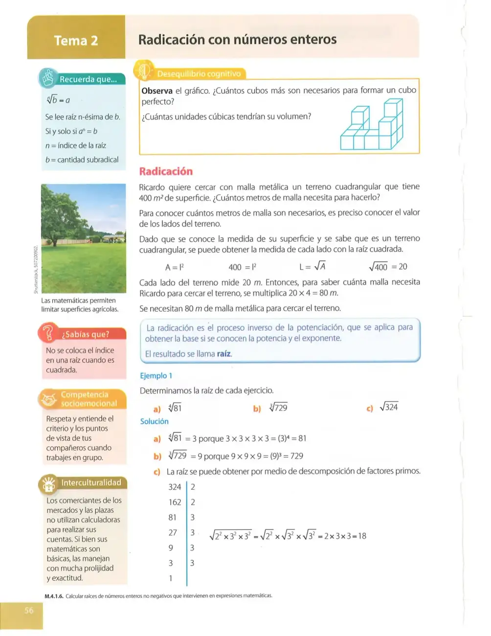 Página 56