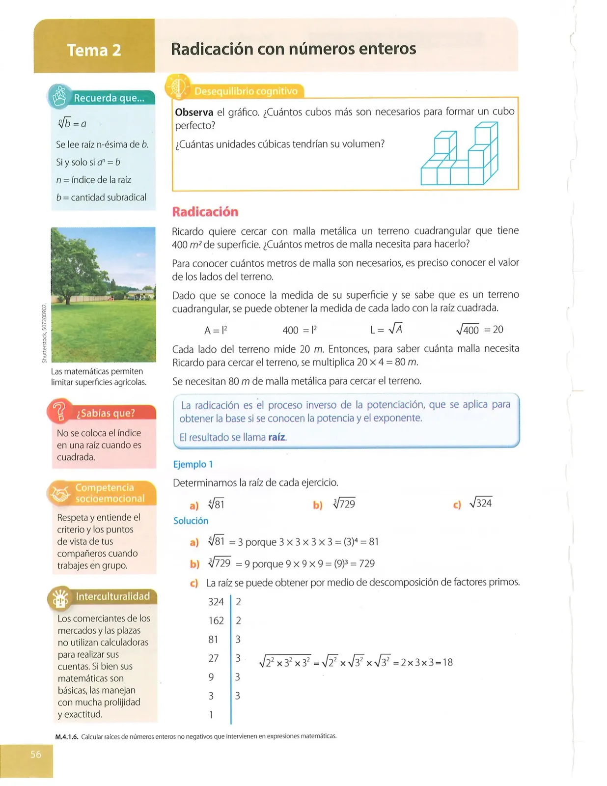 Página 56