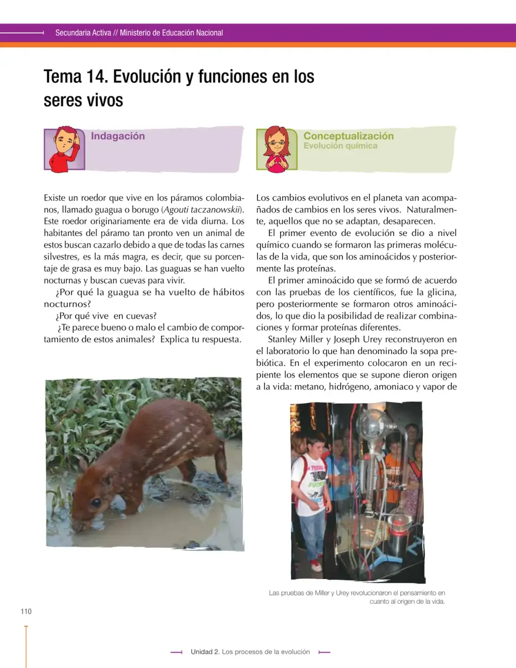 Página 110
