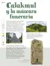 Miniatura página 201 de Múltiples lenguajes.   Libro de Educación Primaria Grado 4°  Ciclo Escolar 2025 - 2026