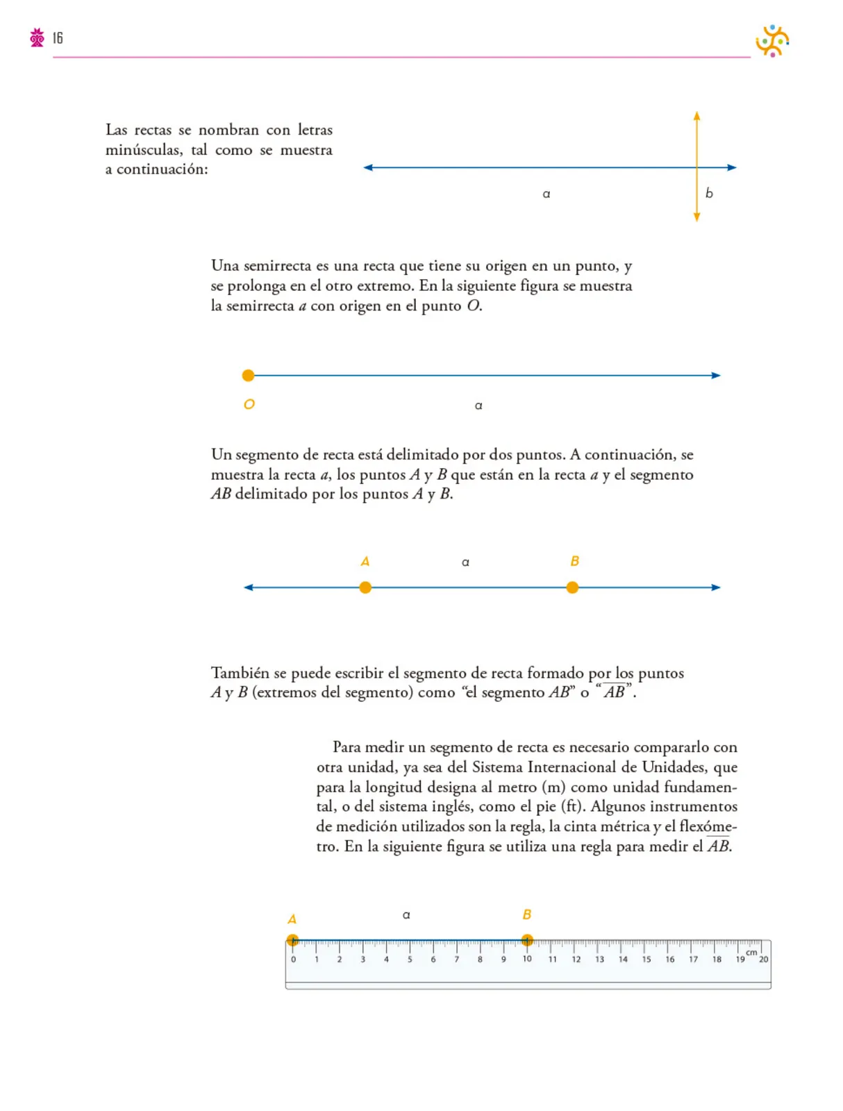 Página 17 de Colección Ximhai. Saberes y pensamiento científico. Libro de Educación Secundaria Grado 1° Ciclo Escolar 2025 - 2026