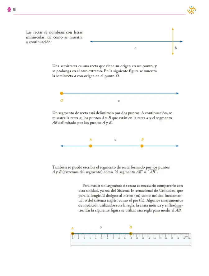 Página 17 de Colección Ximhai. Saberes y pensamiento científico. Libro de Educación Secundaria Grado 1° Ciclo Escolar 2025 - 2026