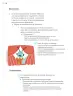Miniatura página 123 de Proyectos de Aula.   Libro de Educación Primaria Grado 4°  Ciclo Escolar 2025 - 2026