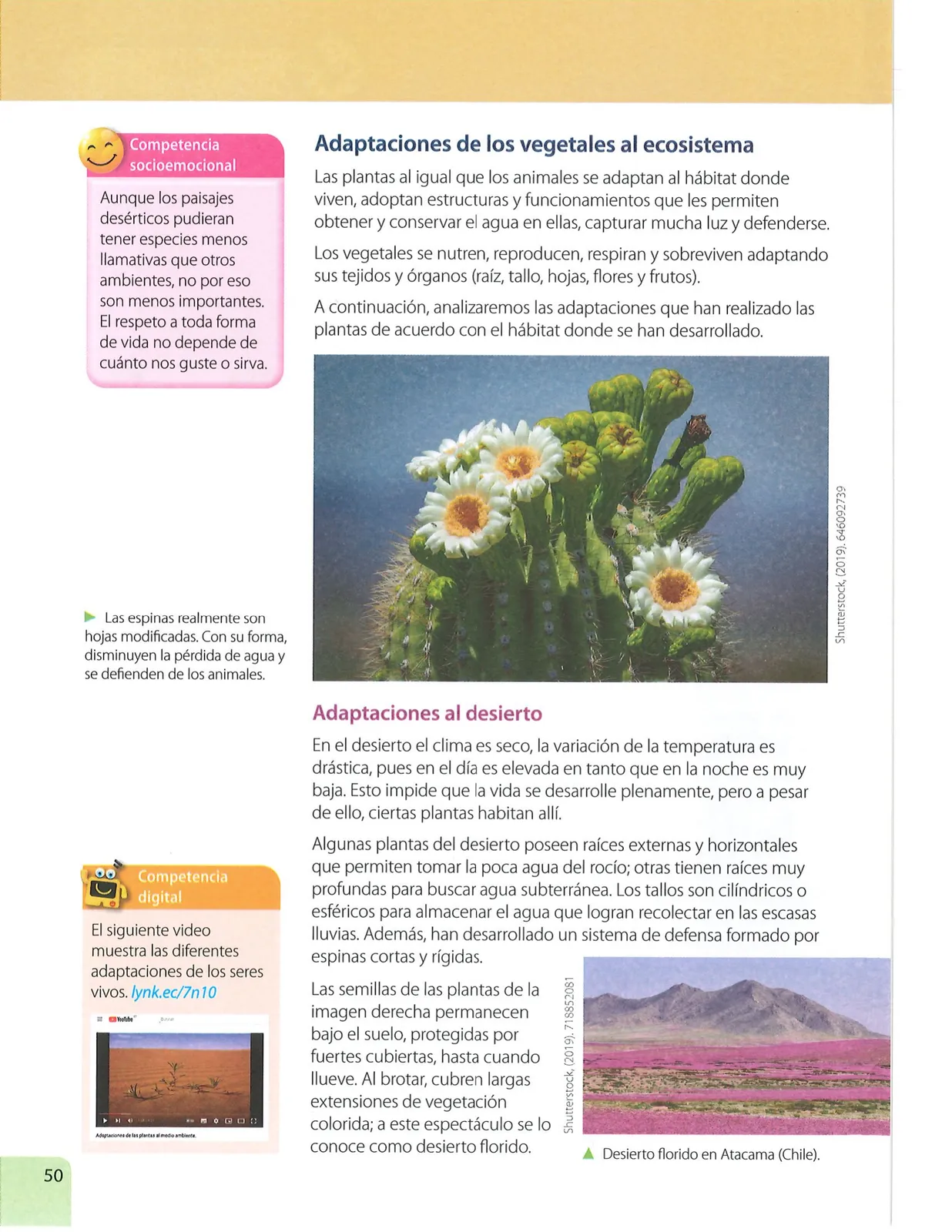 Página 49 de Ciencias Naturales · 7 EGB · 2024
