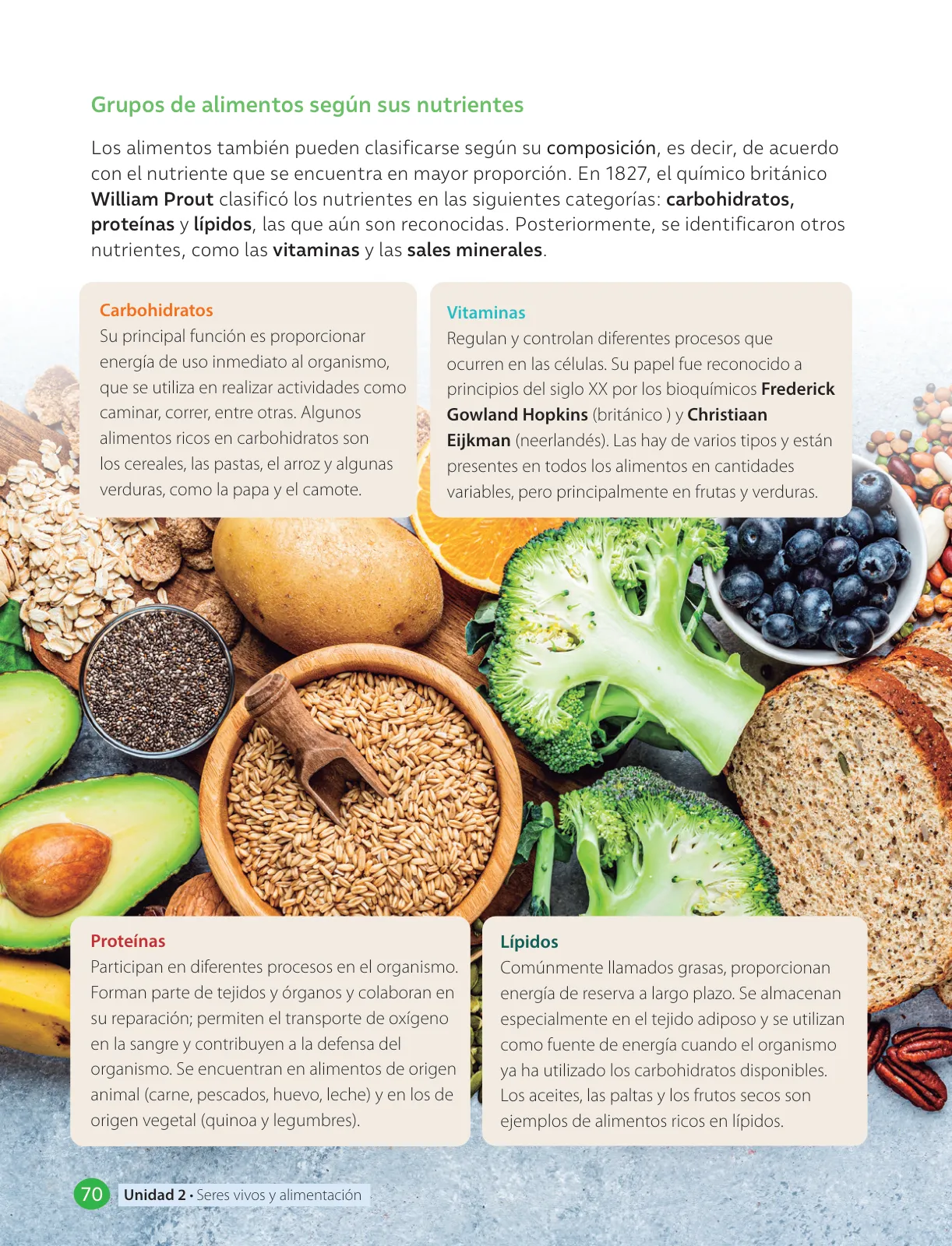 Página 72 de Libro de Ciencias Naturales – Quinto Básico | Texto del Estudiante MINEDUC – Descargar PDF · 2024