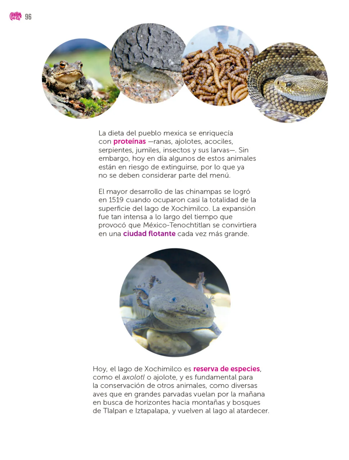 Miniatura página 97 de Colección Sk´asolil. Múltiples lenguajes.   Libro de Educación Secundaria Grado 2°  Ciclo Escolar 2025 - 2026
