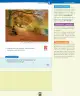 Miniatura página 100 de Ciencias Naturales – Primero Básico | Texto del Estudiante (MINEDUC) – Descargar PDF · 2024
