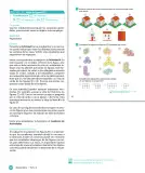 Miniatura página 102 de Sumo Primero – Cuarto Básico | Texto del Estudiante MINEDUC – Descargar PDF · 2024