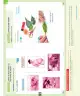 Miniatura página 106 de Ciencias Naturales – Primero Básico | Texto del Estudiante (MINEDUC) – Descargar PDF · 2024