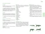 Miniatura página 124 de Posibilidades de trabajo para la acción transformadora y el codiseño. Ficheros. Fase 2  Libro de Educación Preescolar Grado 1°, 2°, 3°  Ciclo Escolar 2025 - 2026
