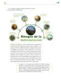 Miniatura página 100 de Colección Sk´asolil. De lo humano y lo comunitario.   Libro de Educación Telesecundaria Grado 2°  Ciclo Escolar 2025 - 2026