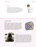 Miniatura página 104 de Nuestros saberes: Libro para alumnos, maestros y familia.   Libro de Educación Primaria Grado 4°  Ciclo Escolar 2025 - 2026