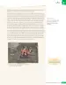 Miniatura página 122 de Lenguaje y Comunicación – Quinto Básico | Texto del Estudiante MINEDUC – Descargar PDF · 2024