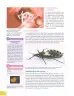 Miniatura página 169 de Ciencias Naturales 9° · 2025