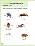 Miniatura página 35 de Ciencias Naturales – Segundo Básico | Texto del Estudiante MINEDUC – Descargar PDF · 2024