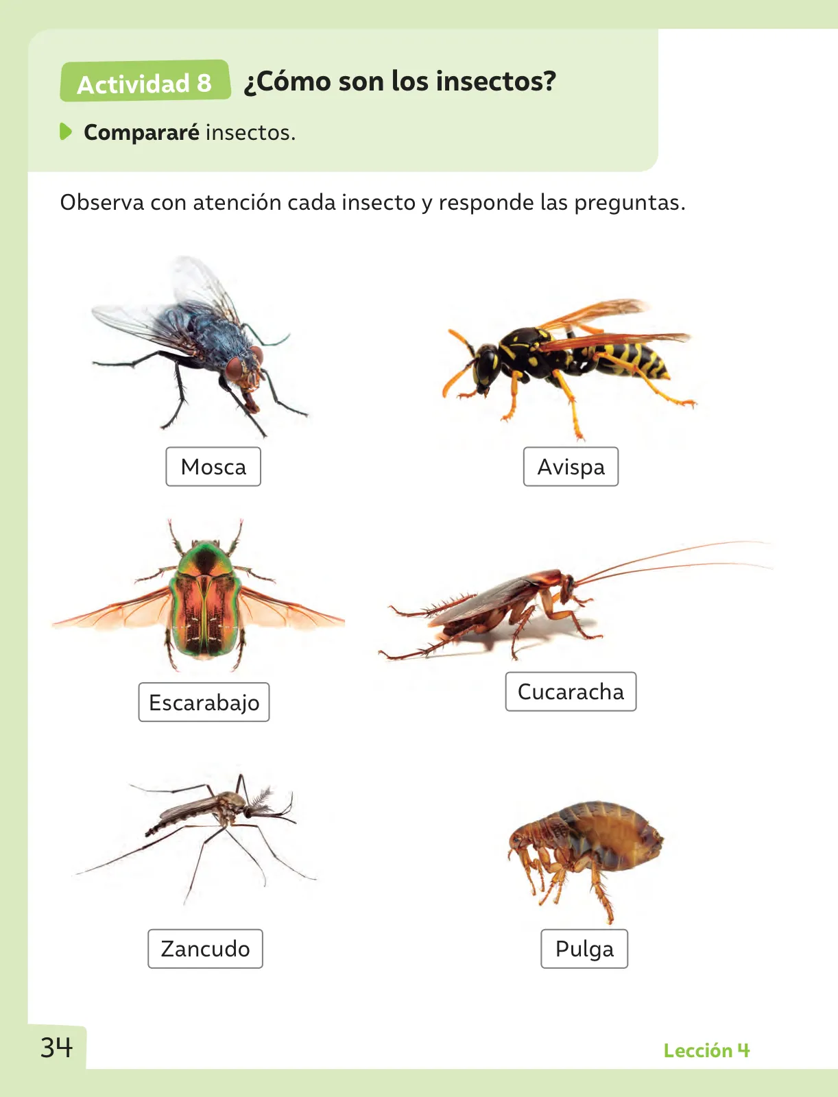 Pág 35