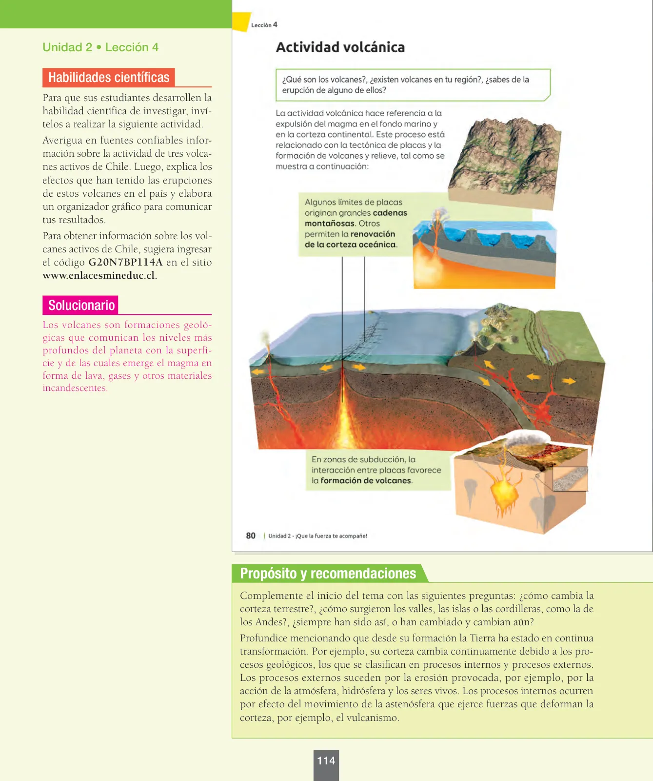 Miniatura página 115 de Ciencias Naturales – Séptimo Básico | Texto del Estudiante MINEDUC – Descargar PDF · 2024