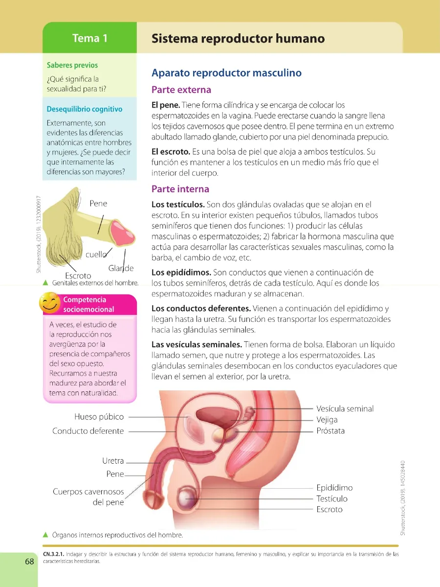 Página 70 de Ciencias Naturales · 6 EGB · 2025