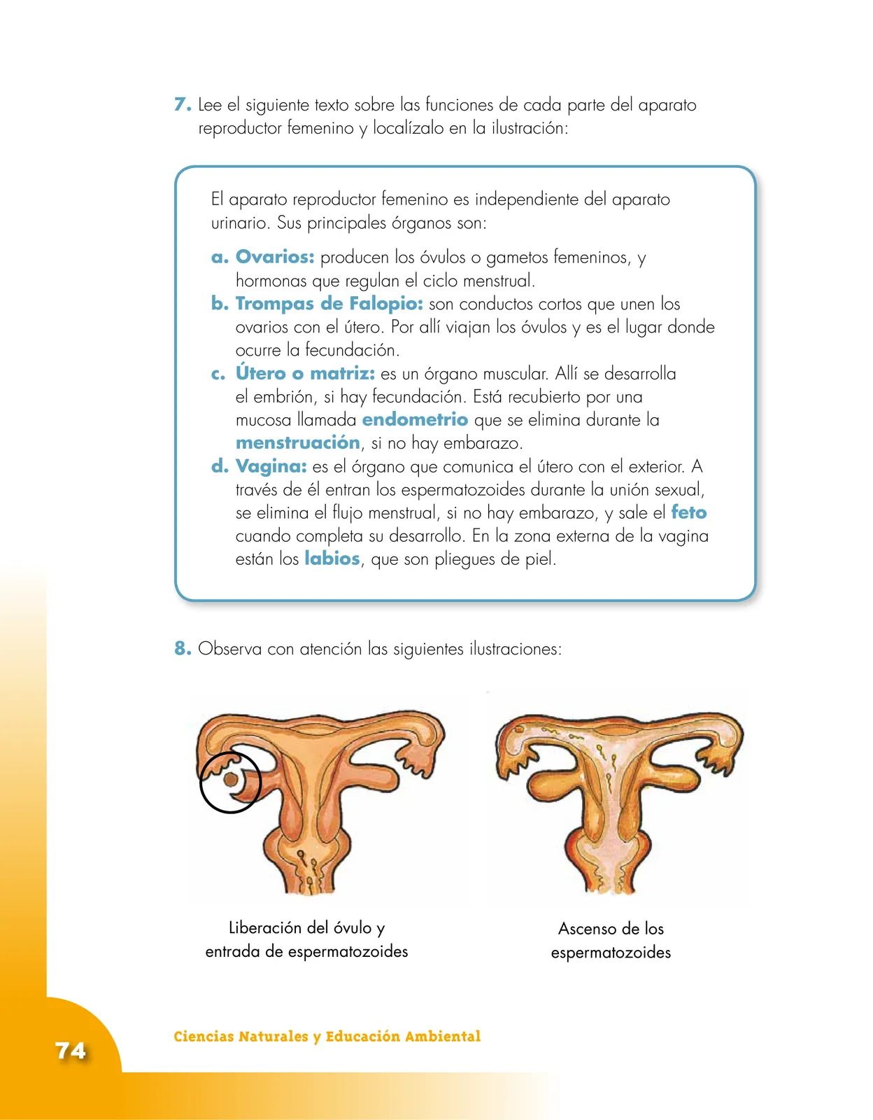 Página 74 de Ciencias Naturales 5° · Cartilla 01