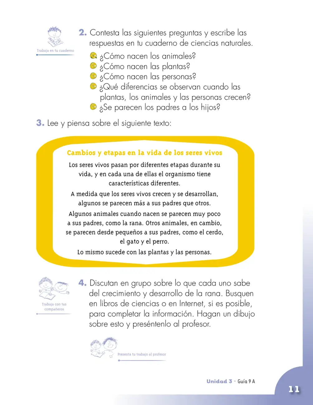 Página 11