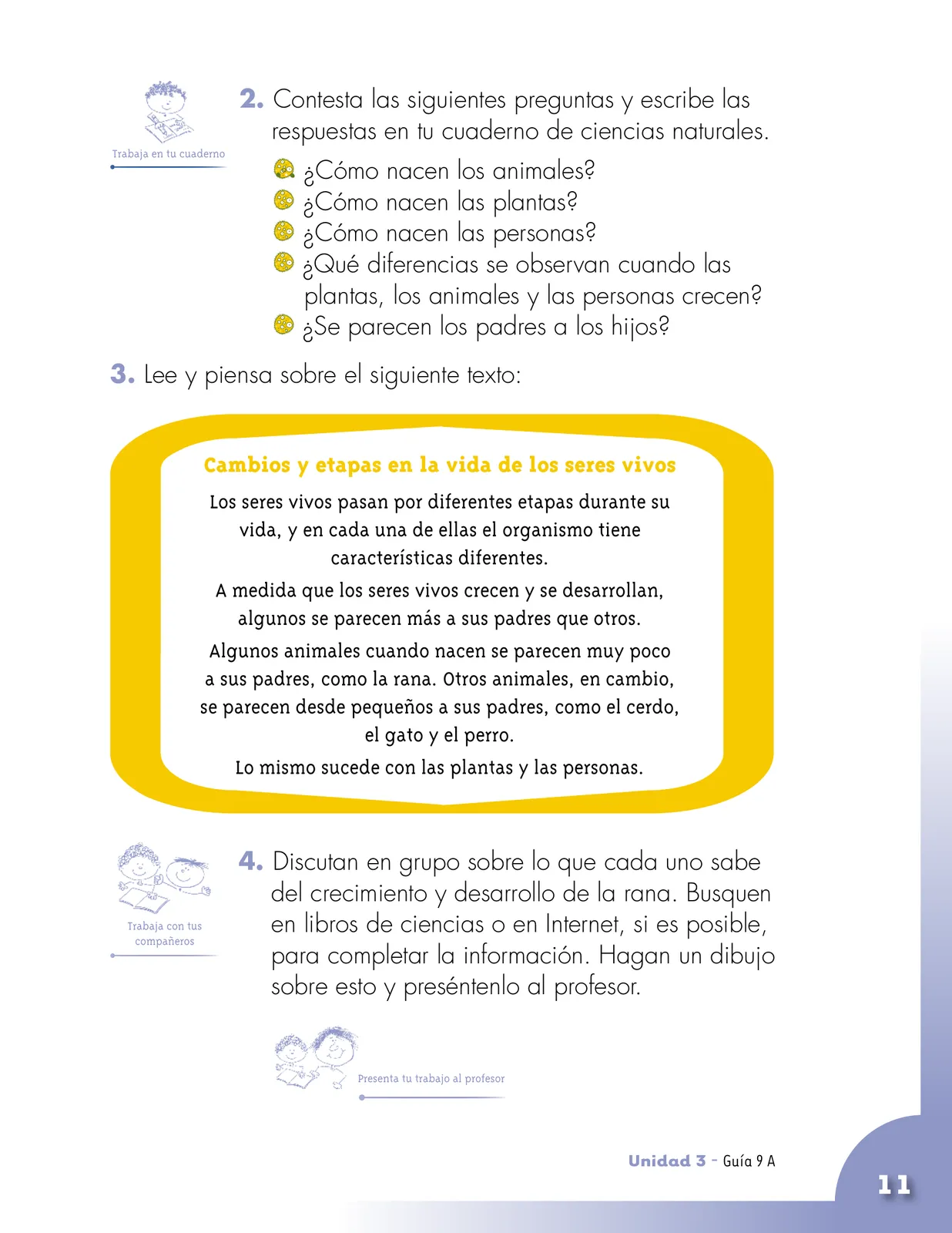 Pág 11