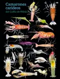 Miniatura página 154 de Colección Sk´asolil. Múltiples lenguajes.   Libro de Educación Secundaria Grado 2°  Ciclo Escolar 2025 - 2026