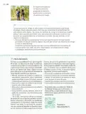 Miniatura página 233 de Nuestros saberes: Libro para alumnos, maestros y familia.   Libro de Educación Primaria Grado 5°  Ciclo Escolar 2025 - 2026