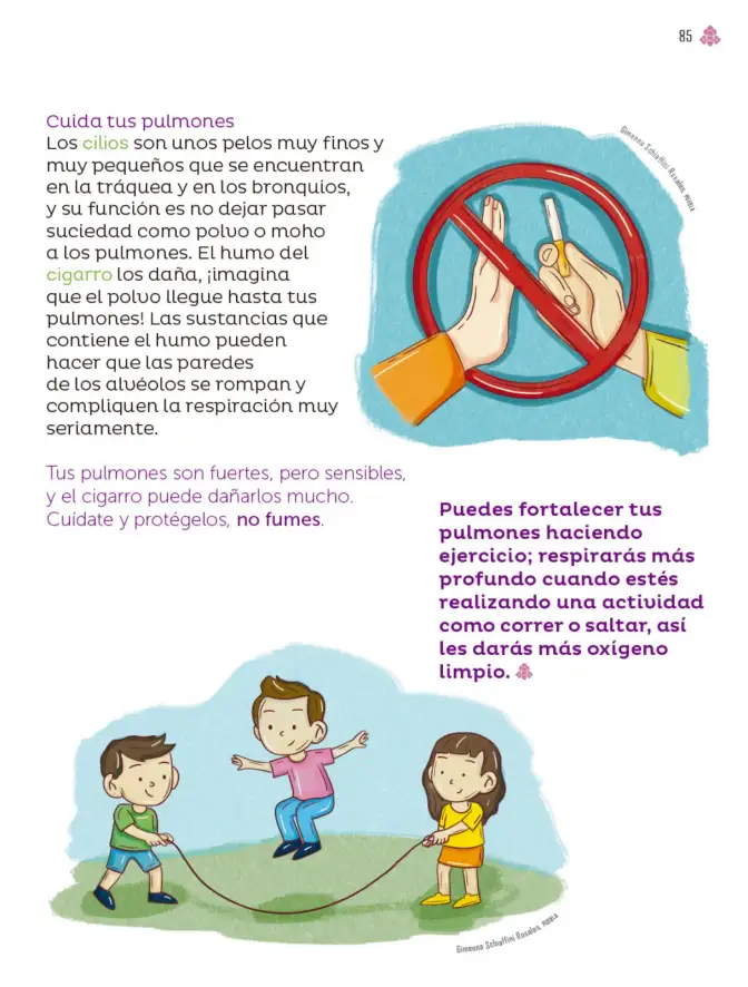 Página 86 de Múltiples lenguajes. Libro de Educación Primaria Grado 3° Ciclo Escolar 2025 - 2026