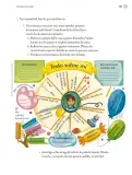 Miniatura página 268 de Proyectos Escolares.   Libro de Educación Primaria Grado 5°  Ciclo Escolar 2025 - 2026