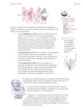 Miniatura página 142 de Nuestros saberes: Libro para alumnos, maestros y familia.   Libro de Educación Primaria Grado 5°  Ciclo Escolar 2025 - 2026